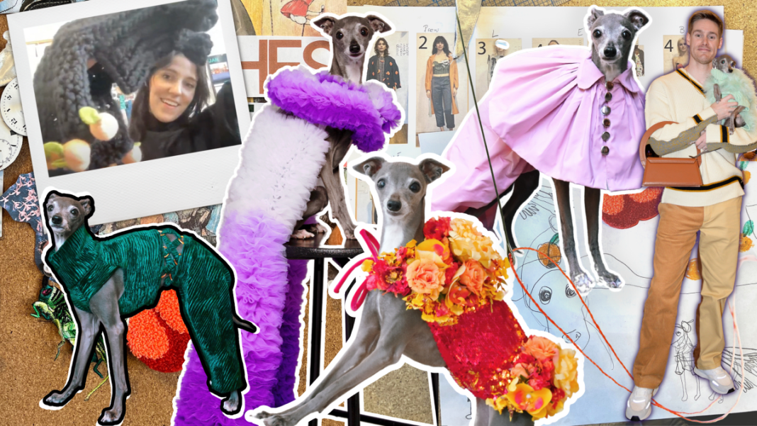 how-a-famous-dog-prepares-for-fashion-week