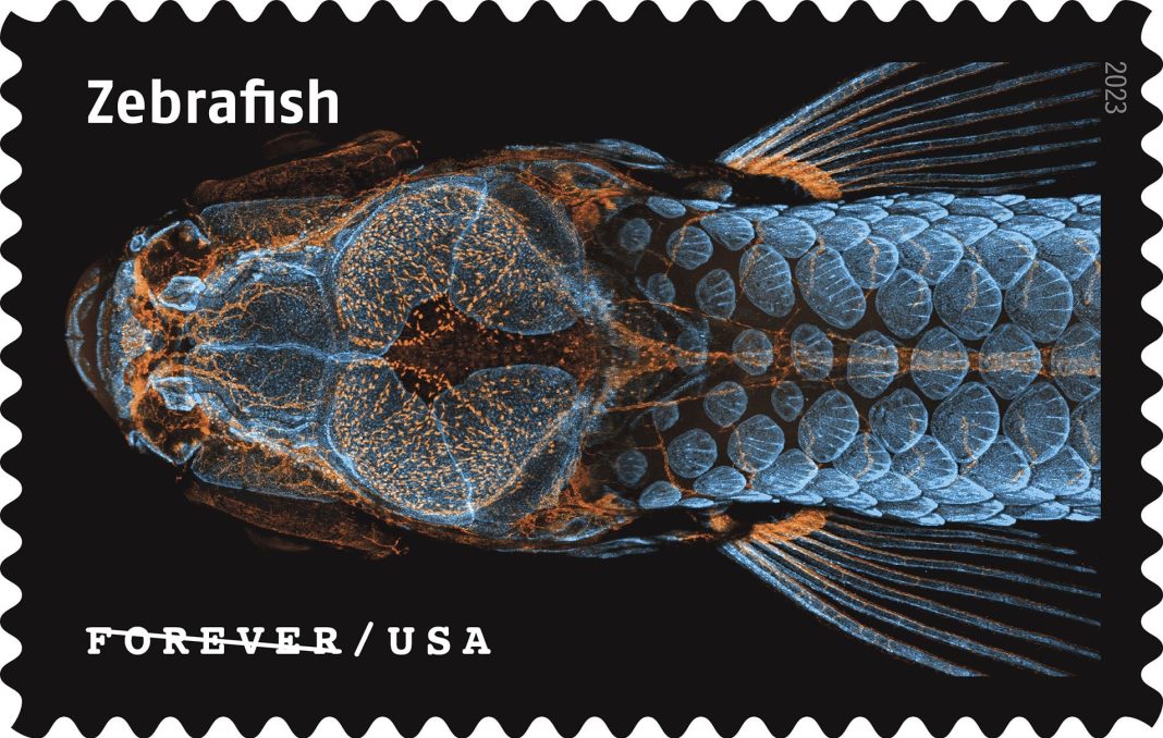 a-new-usps-collection-enlarges-the-world’s-tiniest-lifeforms-to-the-size-of-a-postage-stamp